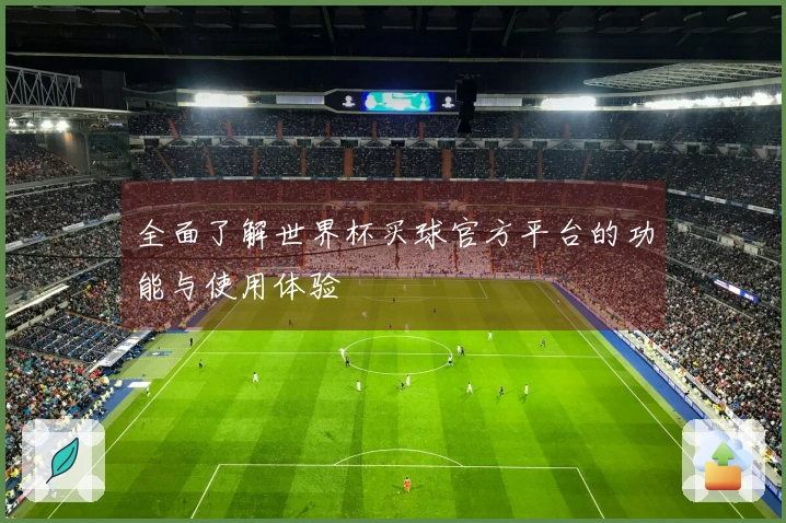 全面了解世界杯买球官方平台的功能与使用体验