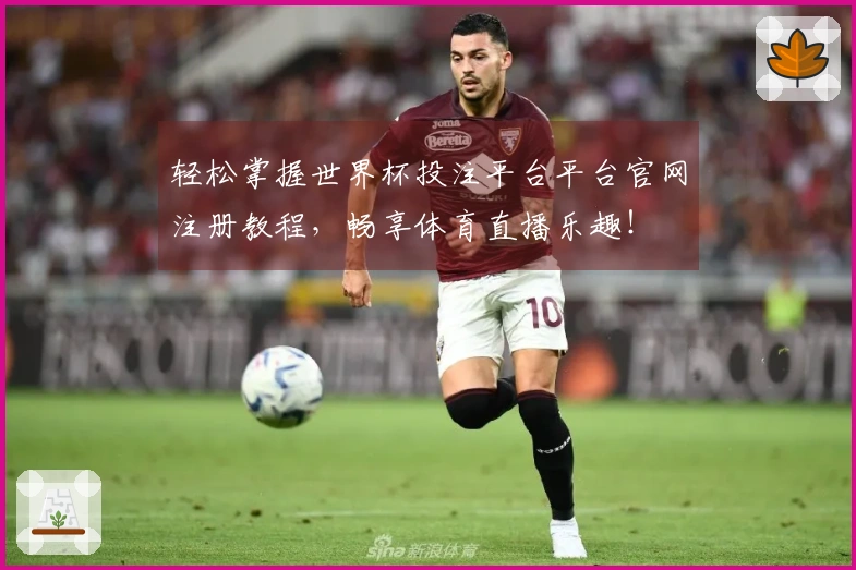 轻松掌握世界杯投注平台平台官网注册教程，畅享体育直播乐趣！