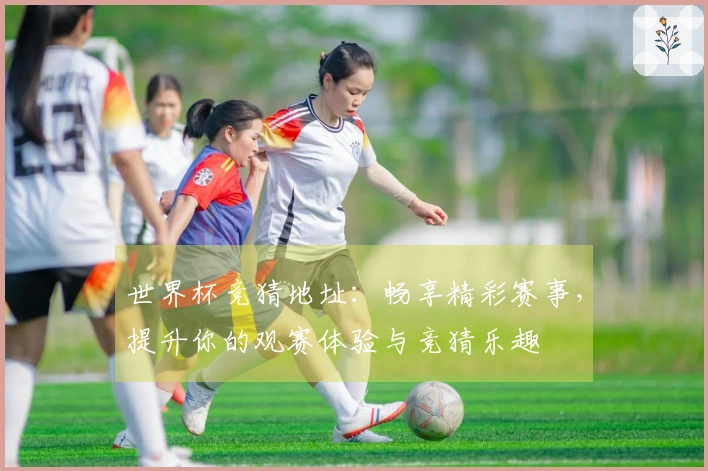 世界杯竞猜地址：畅享精彩赛事，提升你的观赛体验与竞猜乐趣