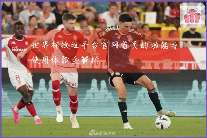 世界杯投注平台官网首页的功能与使用体验全解析