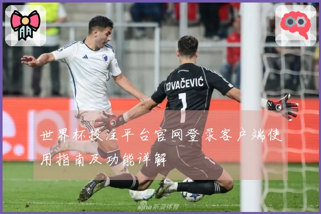 世界杯投注平台官网登录客户端使用指南及功能详解