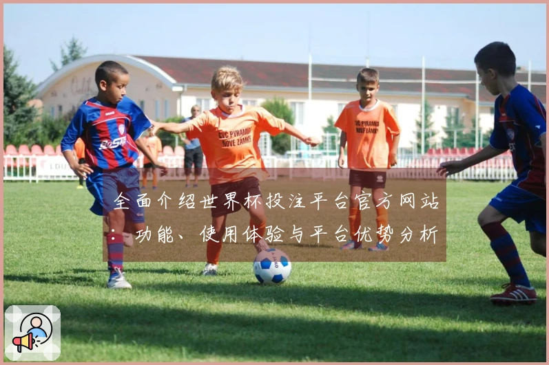 全面介绍世界杯投注平台官方网站：功能、使用体验与平台优势分析