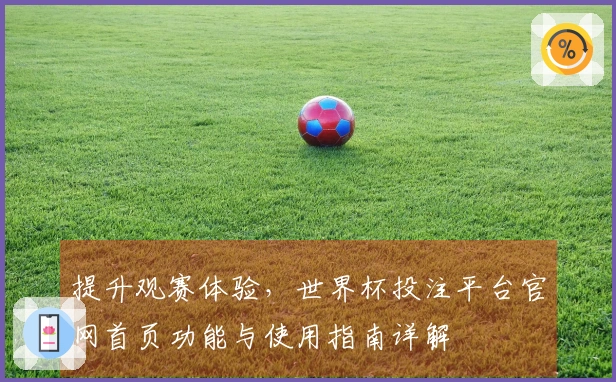 提升观赛体验，世界杯投注平台官网首页功能与使用指南详解