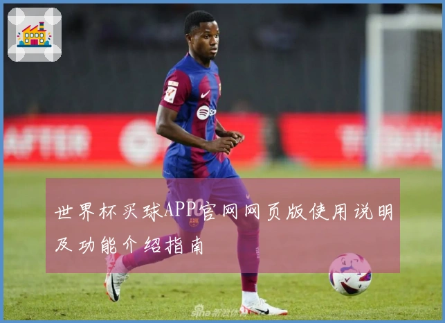 世界杯买球APP官网网页版使用说明及功能介绍指南
