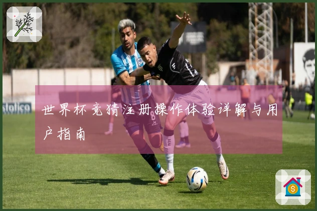 世界杯竞猜注册操作体验详解与用户指南