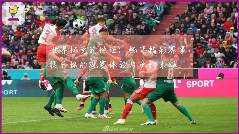 世界杯竞猜地址：畅享精彩赛事，提升你的观赛体验与竞猜乐趣