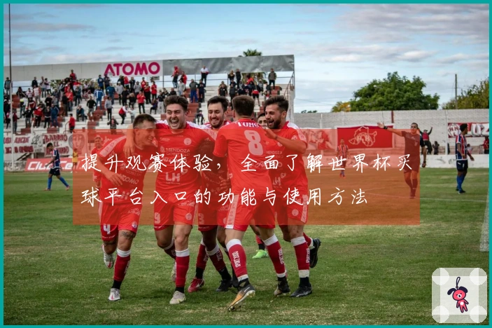 提升观赛体验，全面了解世界杯买球平台入口的功能与使用方法