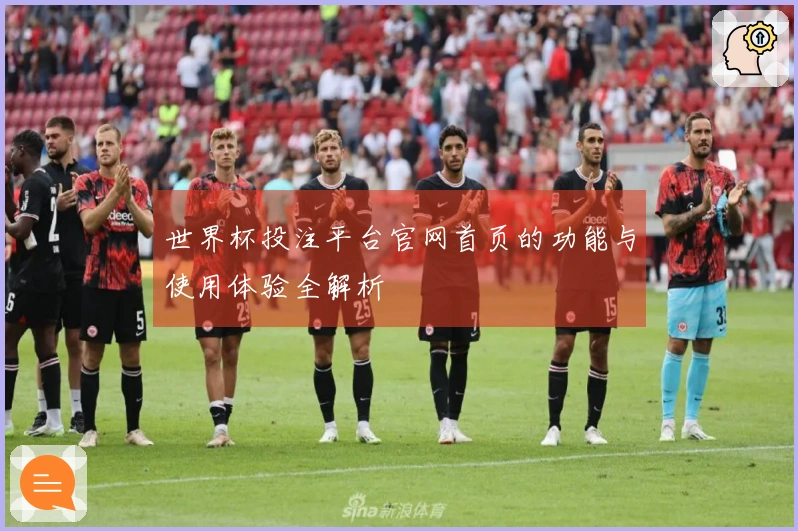 世界杯投注平台官网首页的功能与使用体验全解析