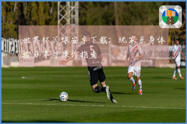 世界杯买球安卓下载：玩家亲身体验分享与操作指南